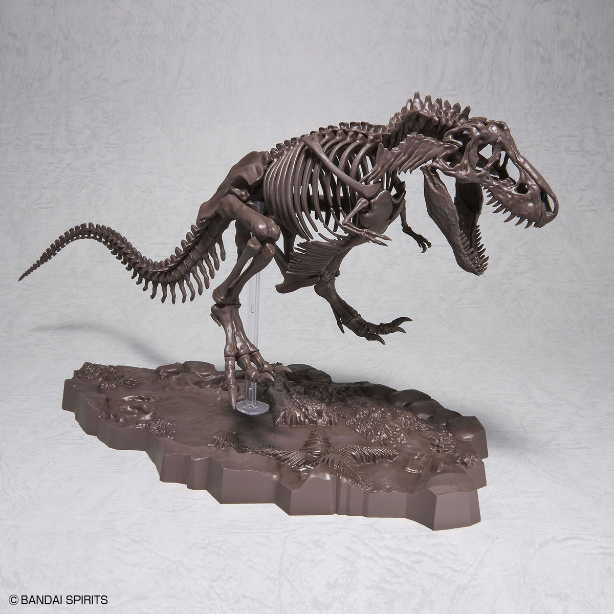 1/32 Imaginary Skeleton ティラノサウルス 01