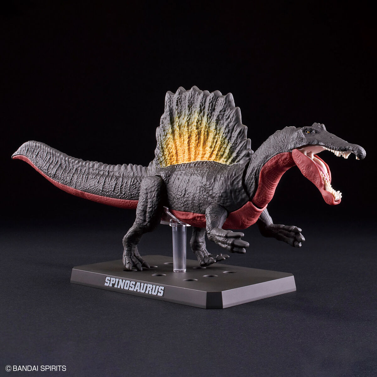 プラノサウルス スピノサウルス 01