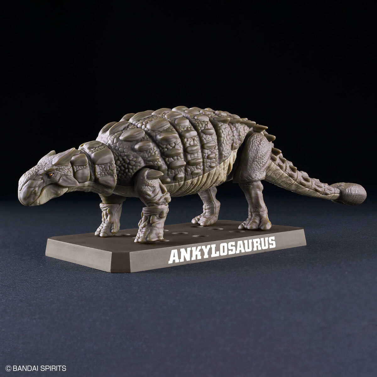 プラノサウルス アンキロサウルス 01
