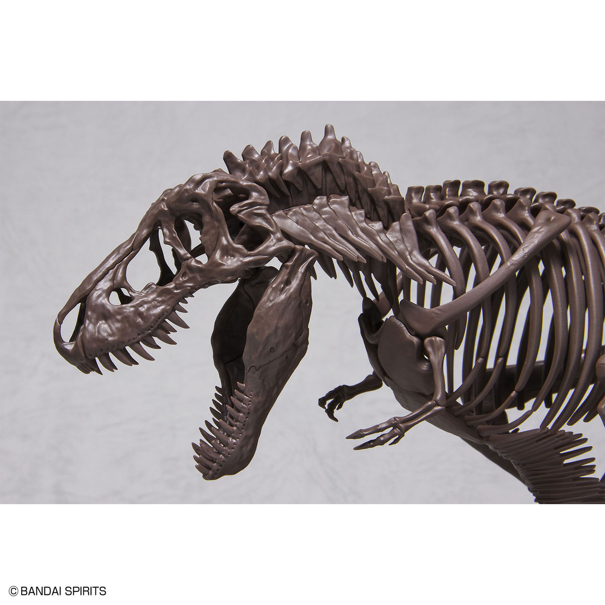 1/32 Imaginary Skeleton ティラノサウルス 02