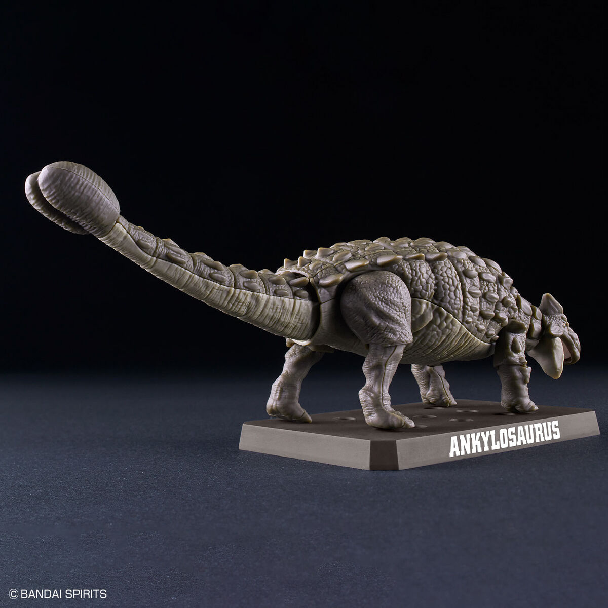 プラノサウルス アンキロサウルス 02