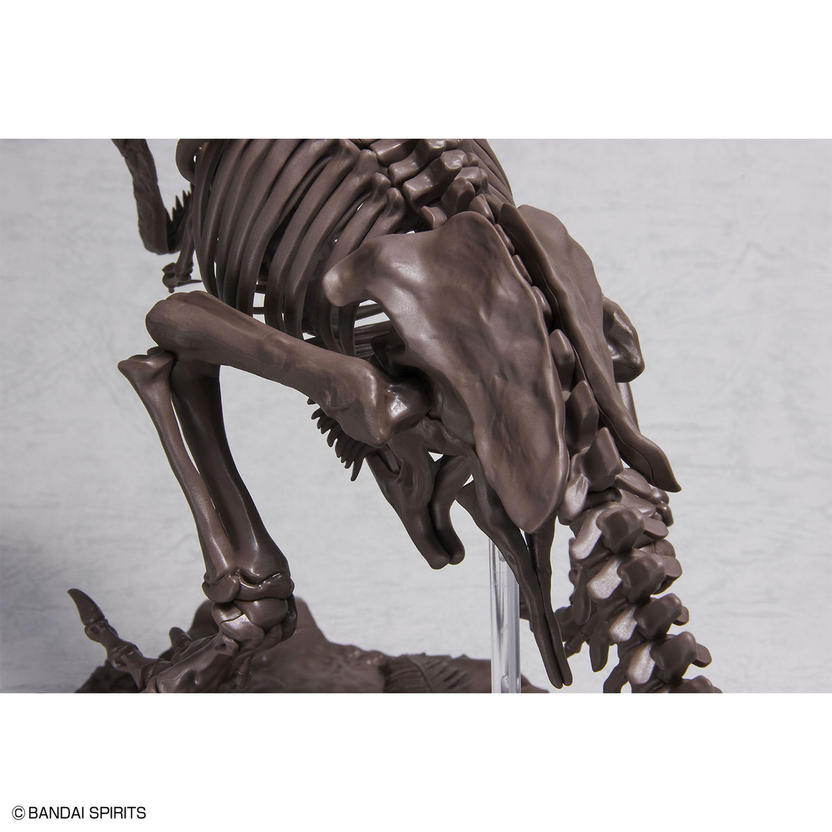 1/32 Imaginary Skeleton ティラノサウルス 03