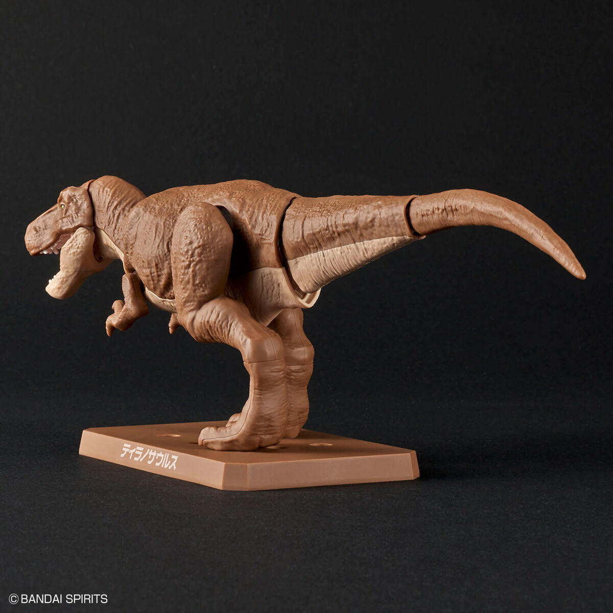 プラノサウルス ティラノサウルス 03