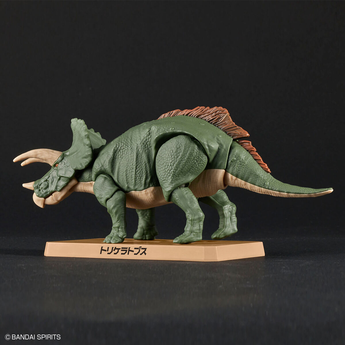 プラノサウルス トリケラトプス 03