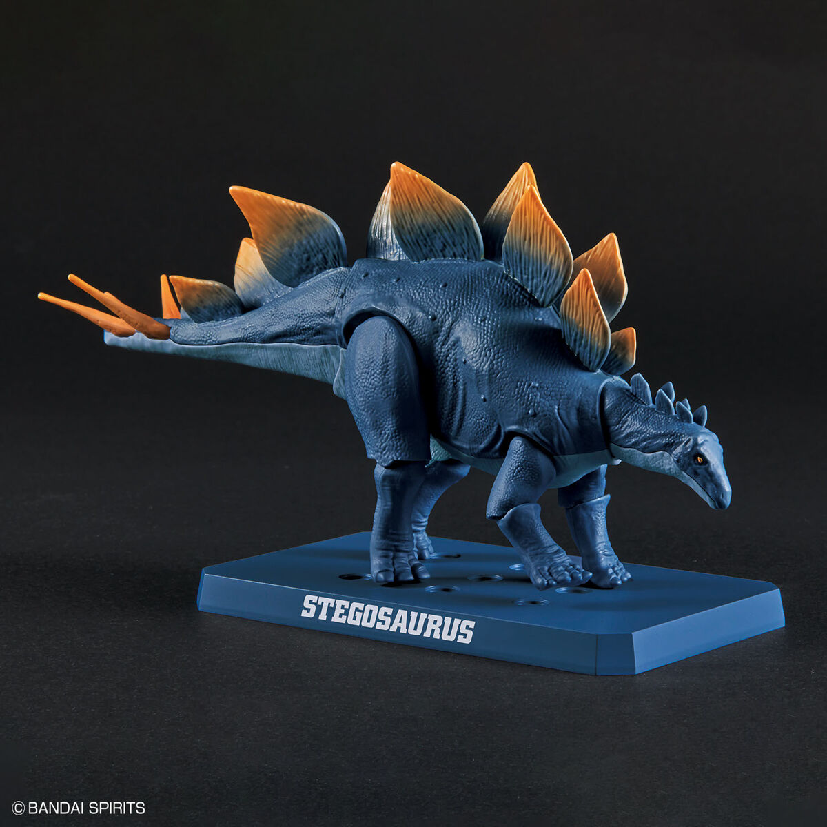 プラノサウルス ステゴサウルス 03