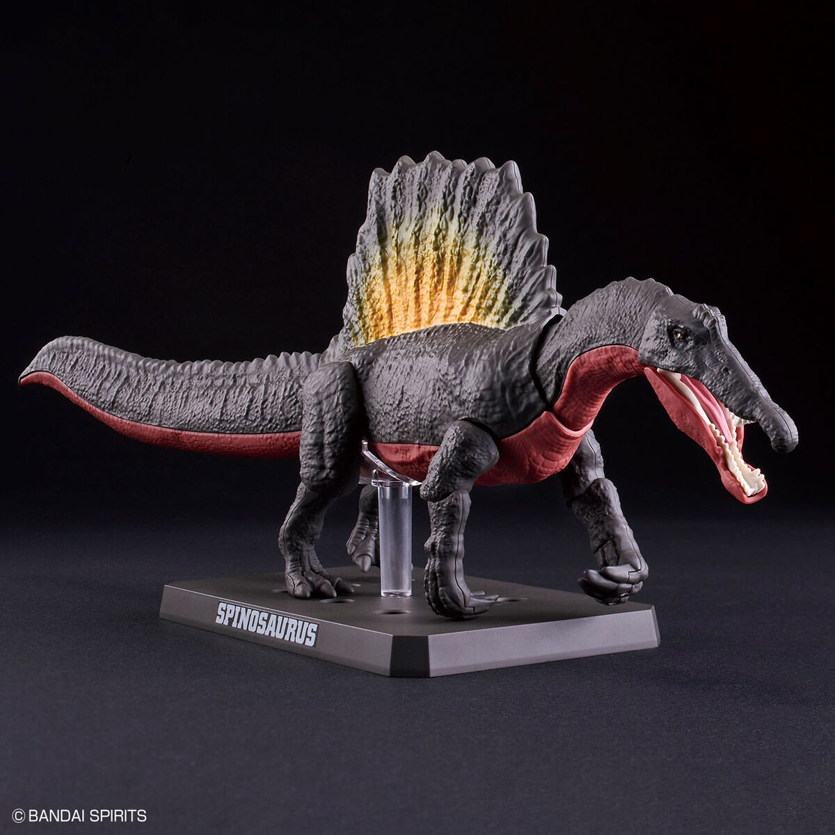 プラノサウルス スピノサウルス 03