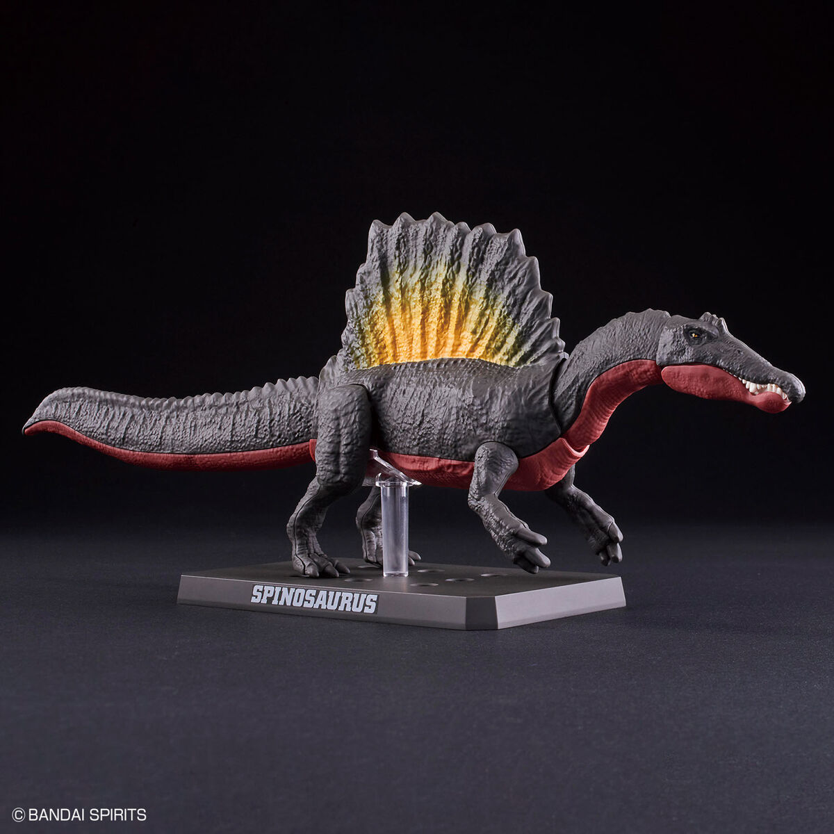 プラノサウルス スピノサウルス 04