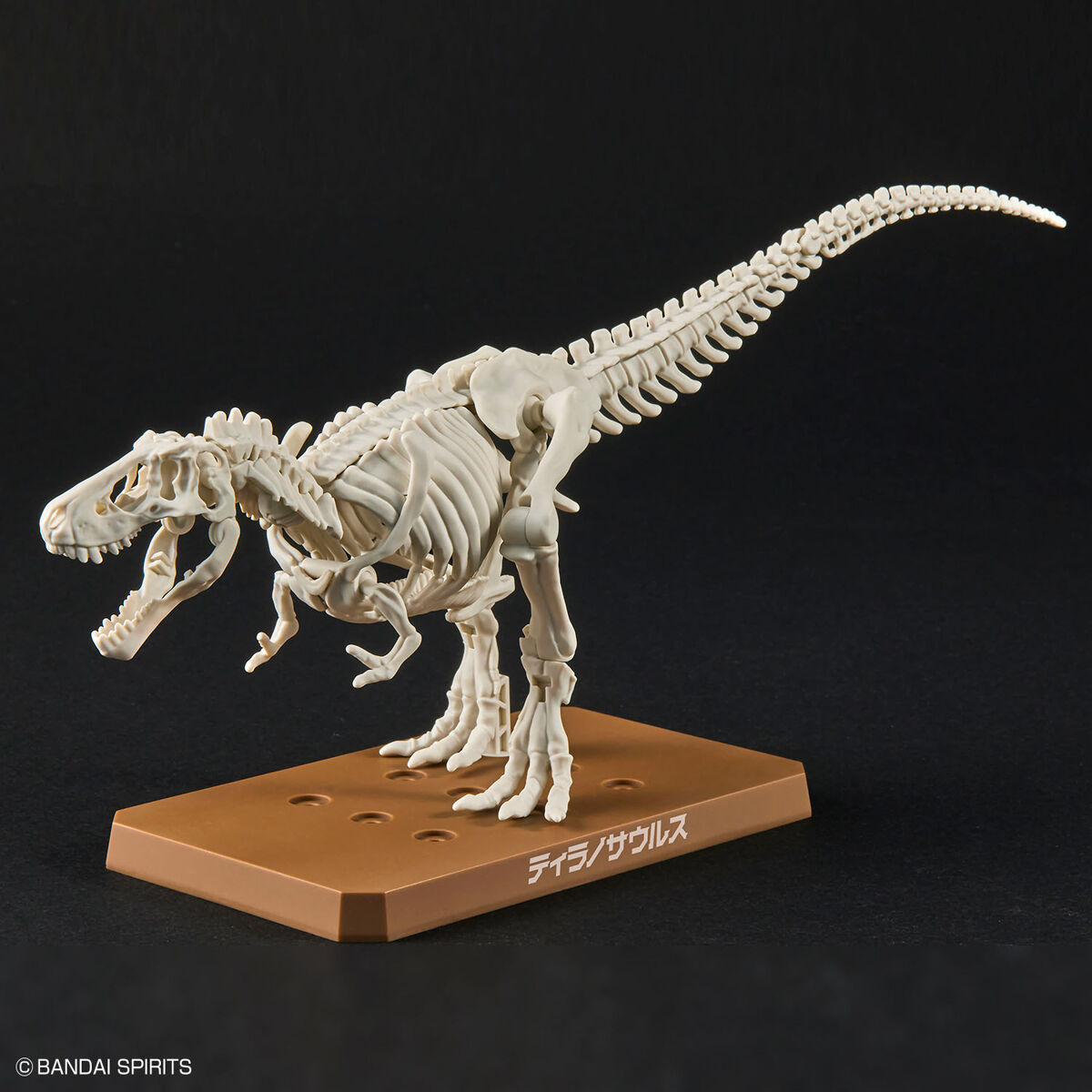 プラノサウルス ティラノサウルス 05
