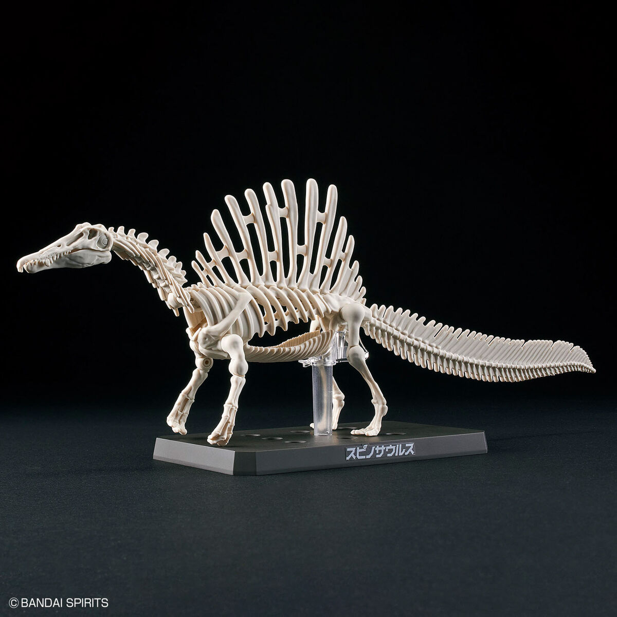 プラノサウルス スピノサウルス 05