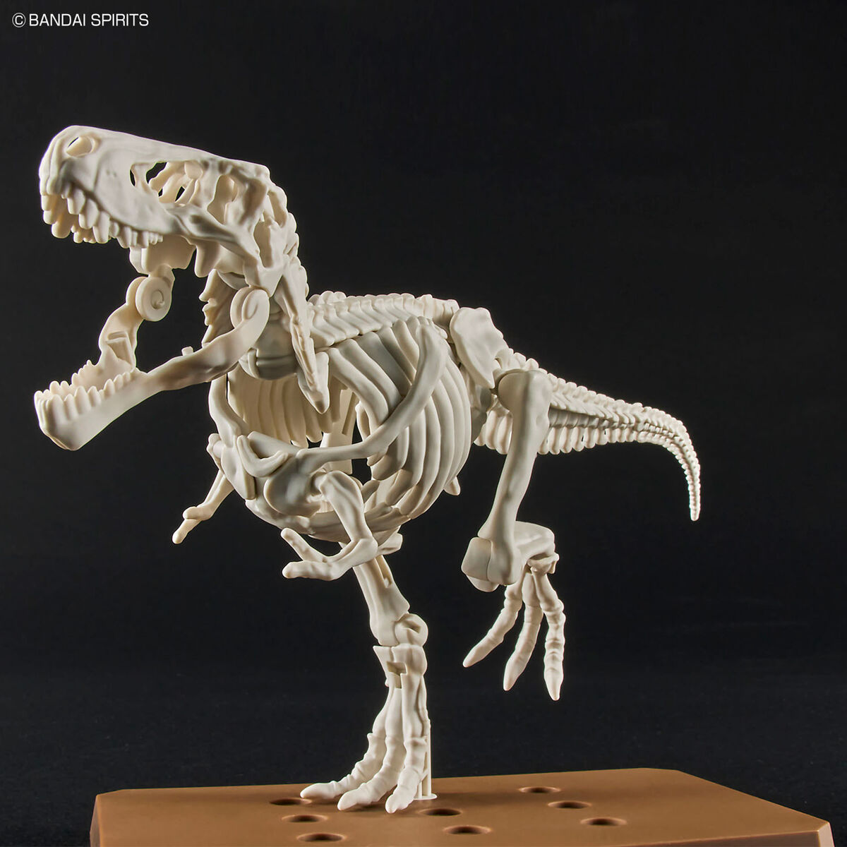 プラノサウルス ティラノサウルス 06