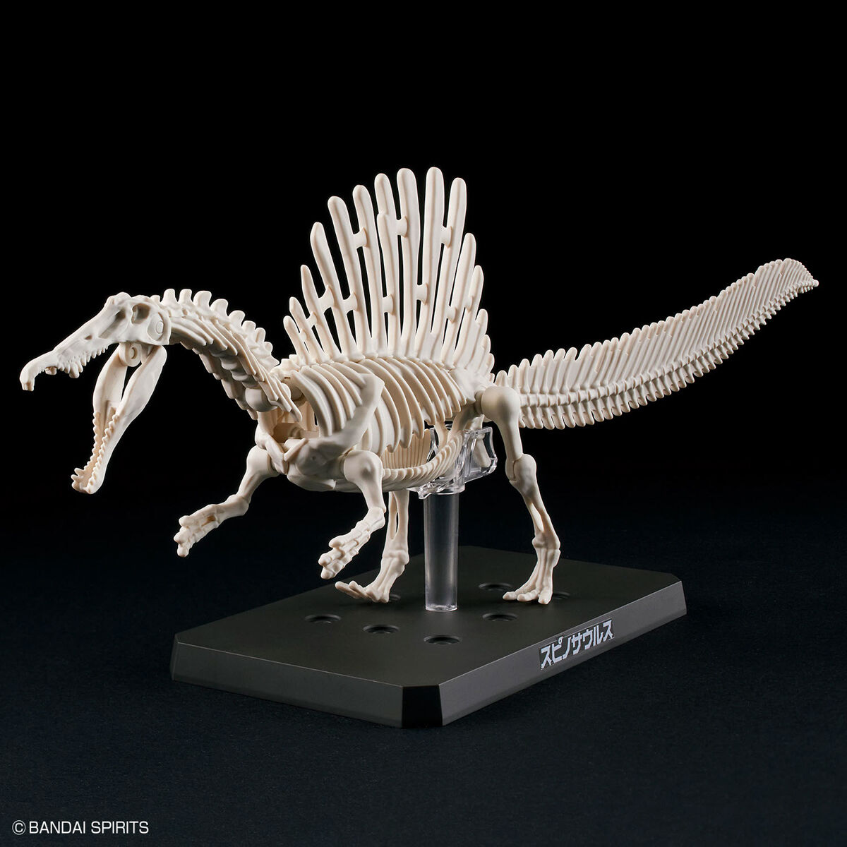 プラノサウルス スピノサウルス 06