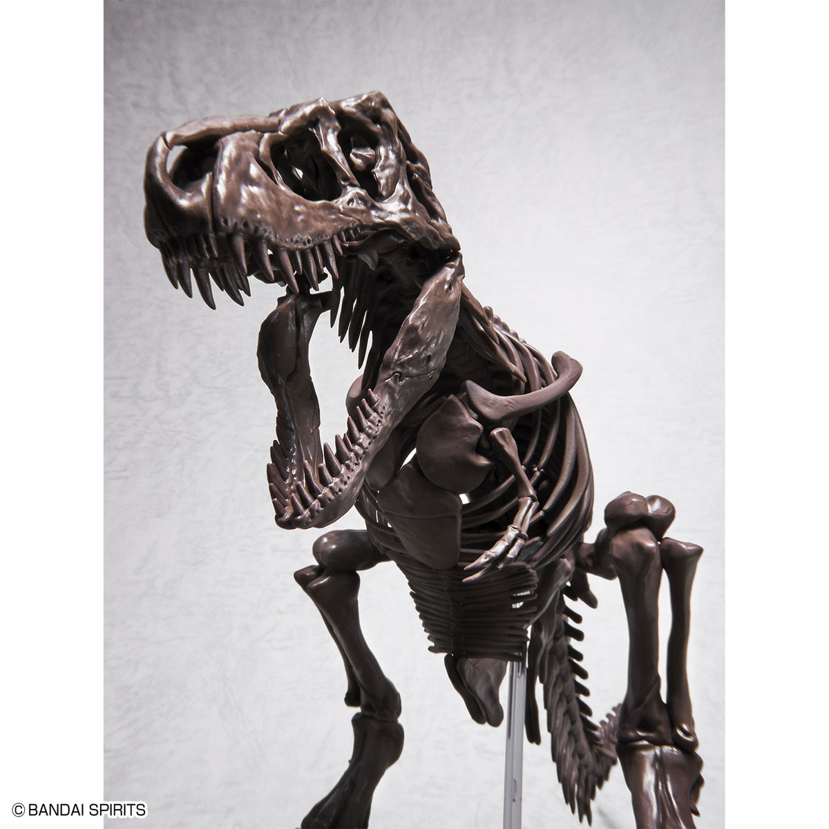 1/32 Imaginary Skeleton ティラノサウルス 07