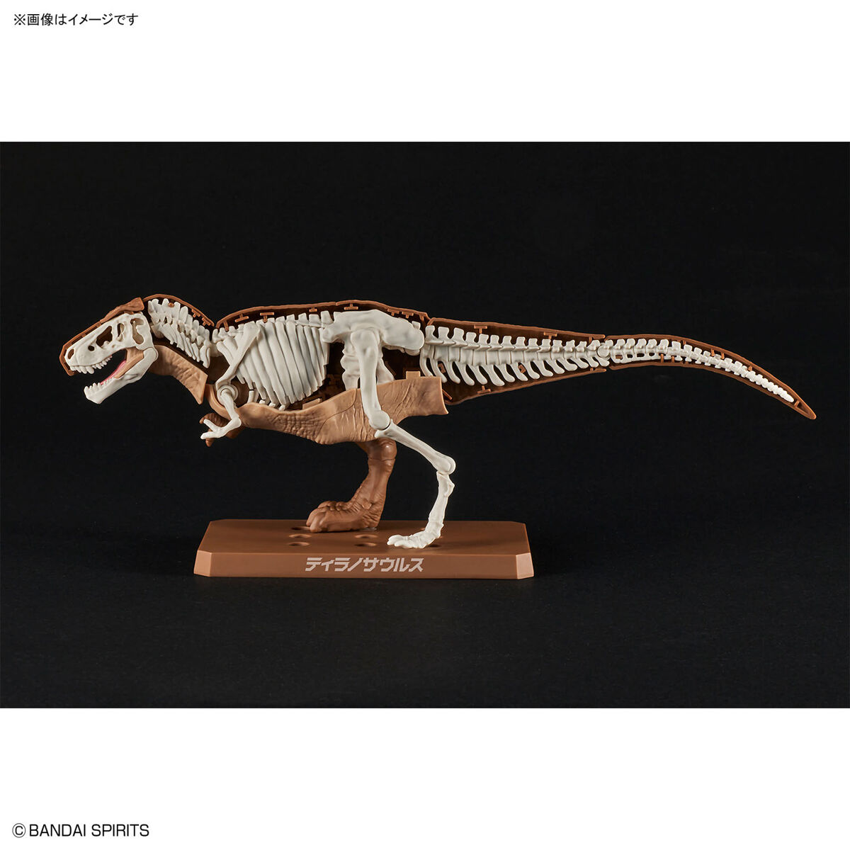 プラノサウルス ティラノサウルス 07