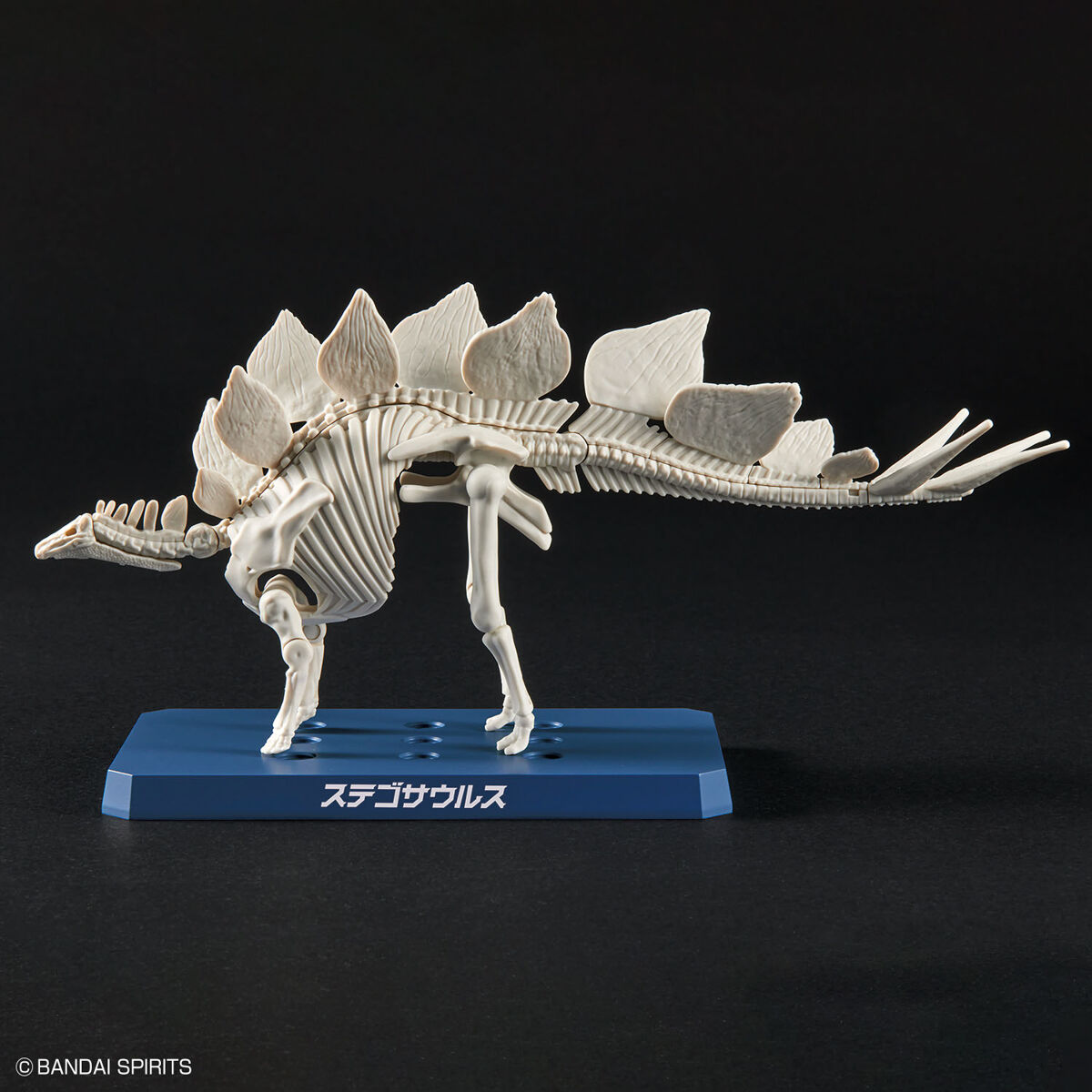 プラノサウルス ステゴサウルス 07