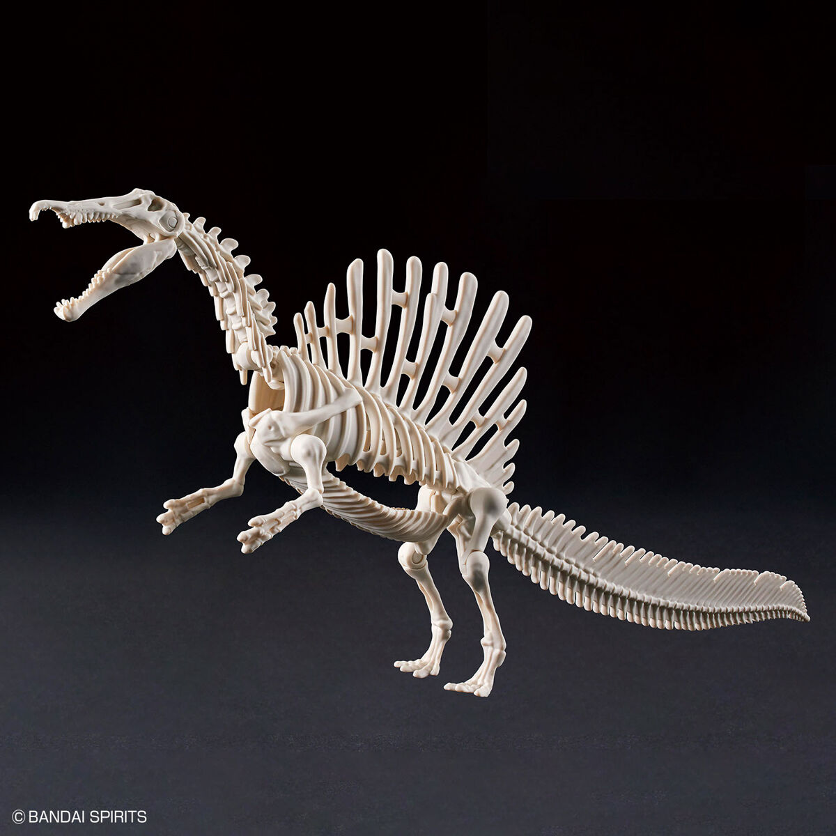 プラノサウルス スピノサウルス 07