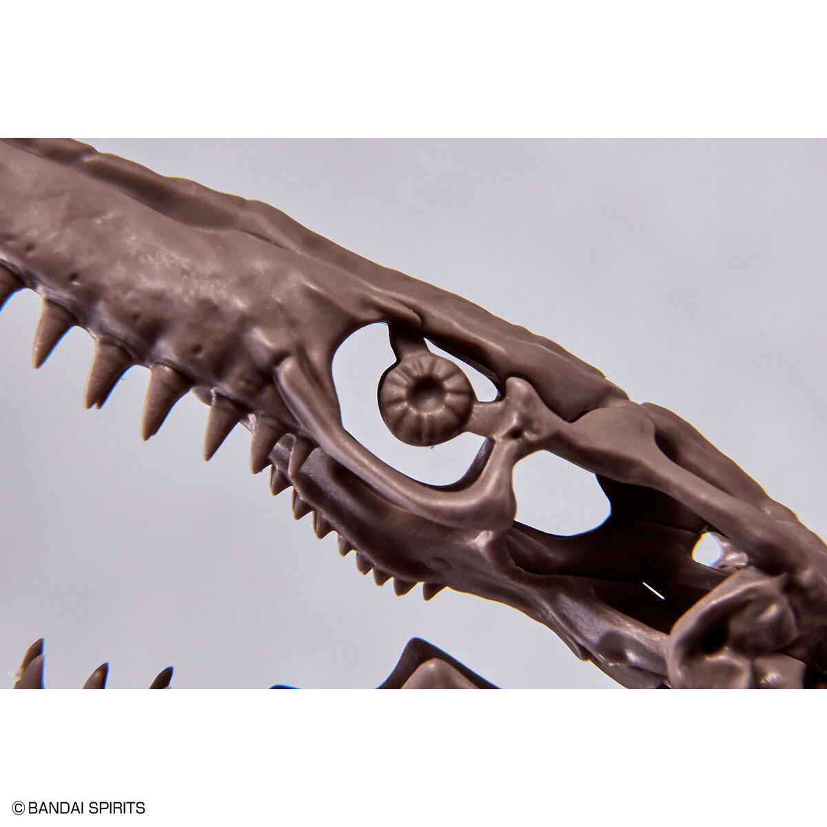 1/32 Imaginary Skeleton モササウルス 07