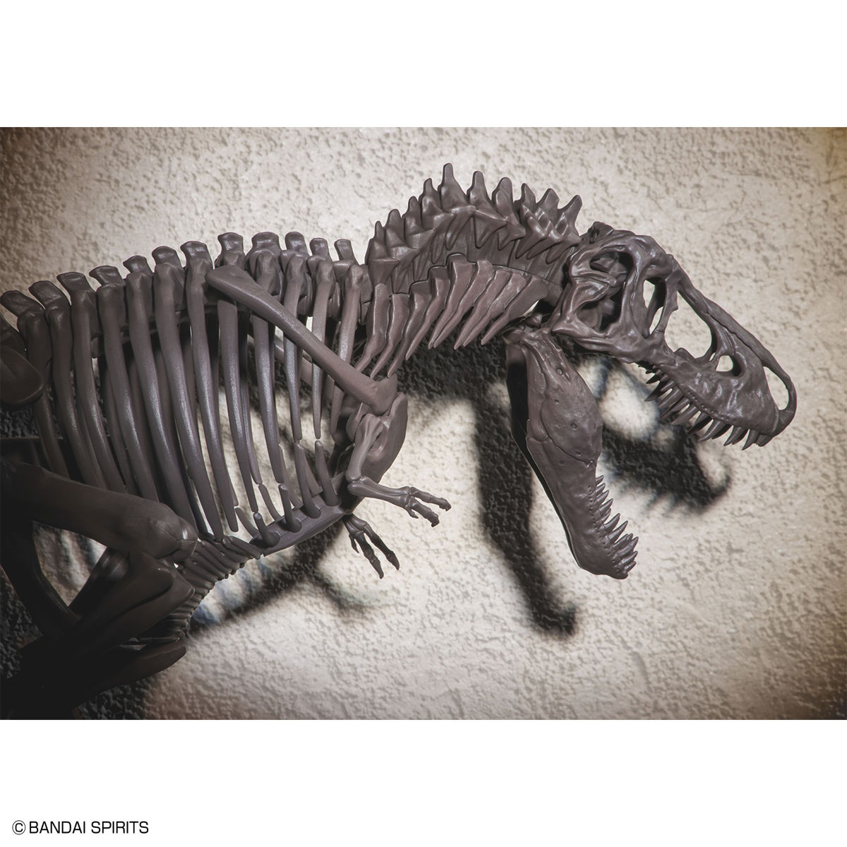 1/32 Imaginary Skeleton ティラノサウルス 08