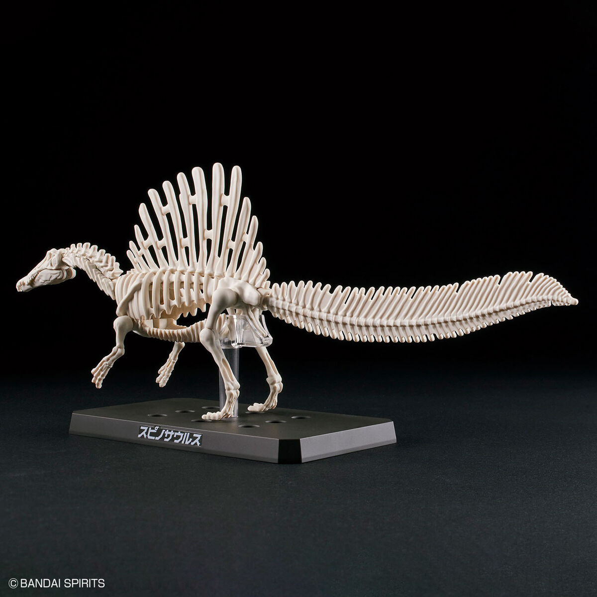 プラノサウルス スピノサウルス 08