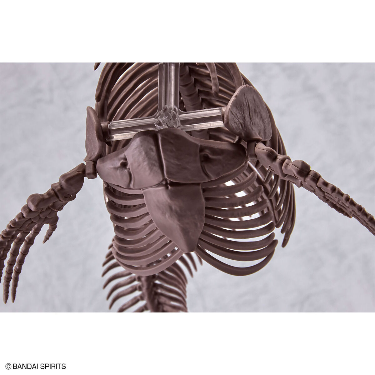 1/32 Imaginary Skeleton モササウルス 08