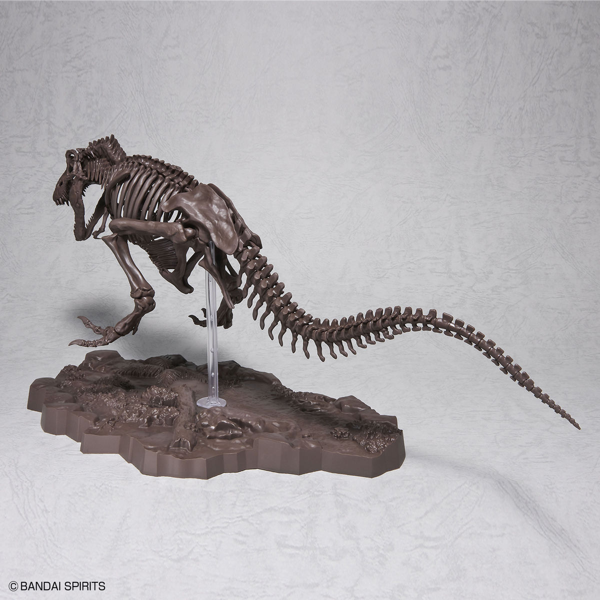 1/32 Imaginary Skeleton ティラノサウルス 09