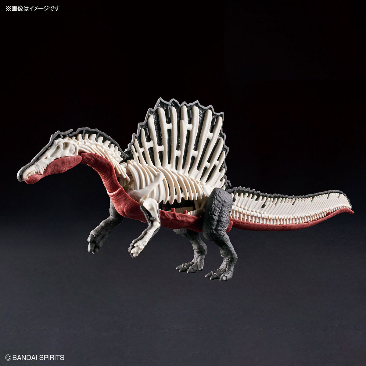 プラノサウルス スピノサウルス 09