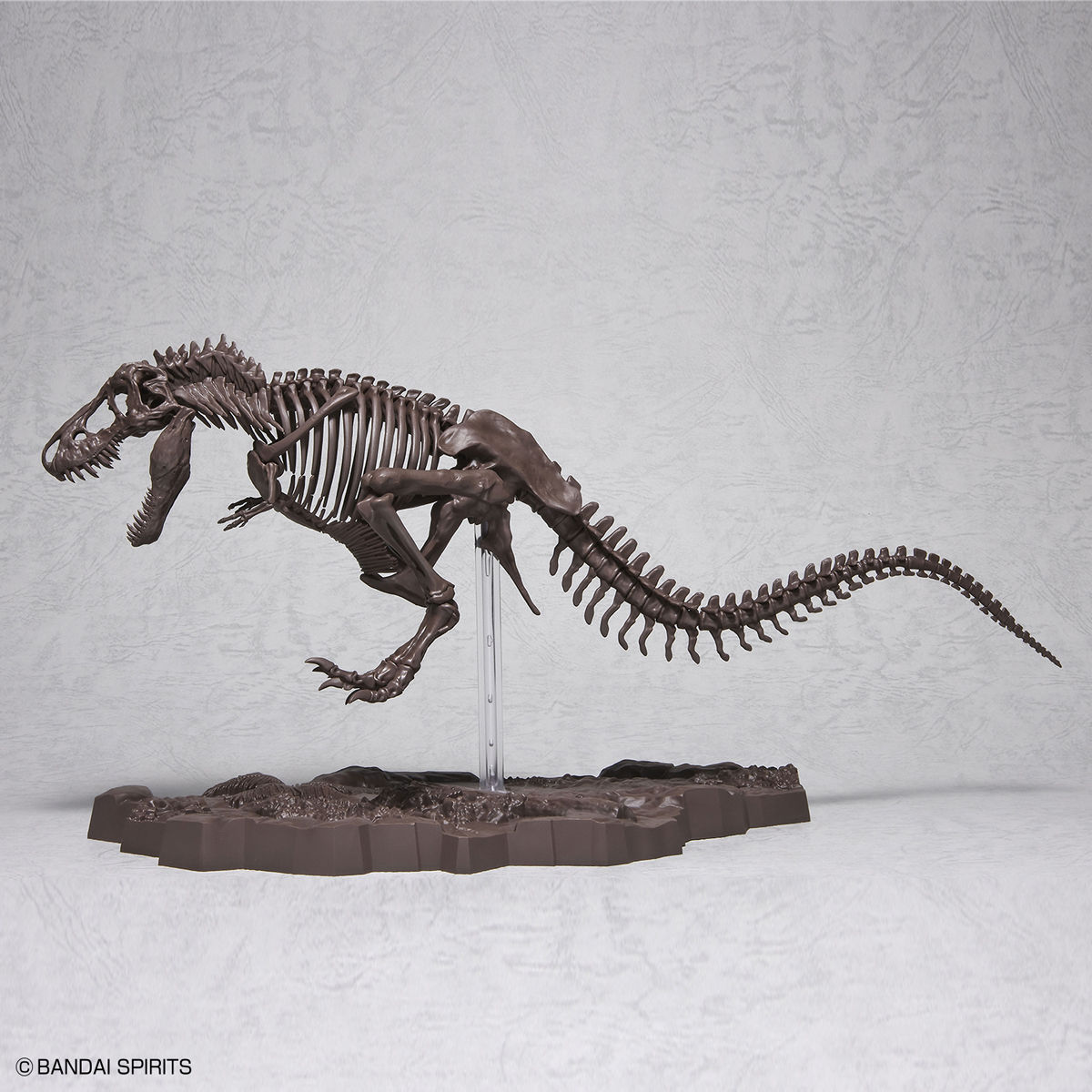 1/32 Imaginary Skeleton ティラノサウルス 10