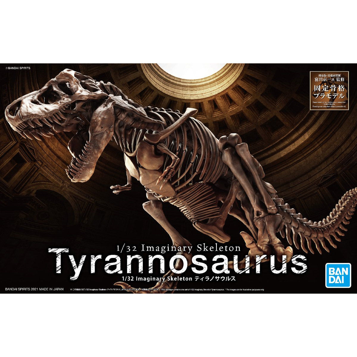 1/32 Imaginary Skeleton ティラノサウルス 11