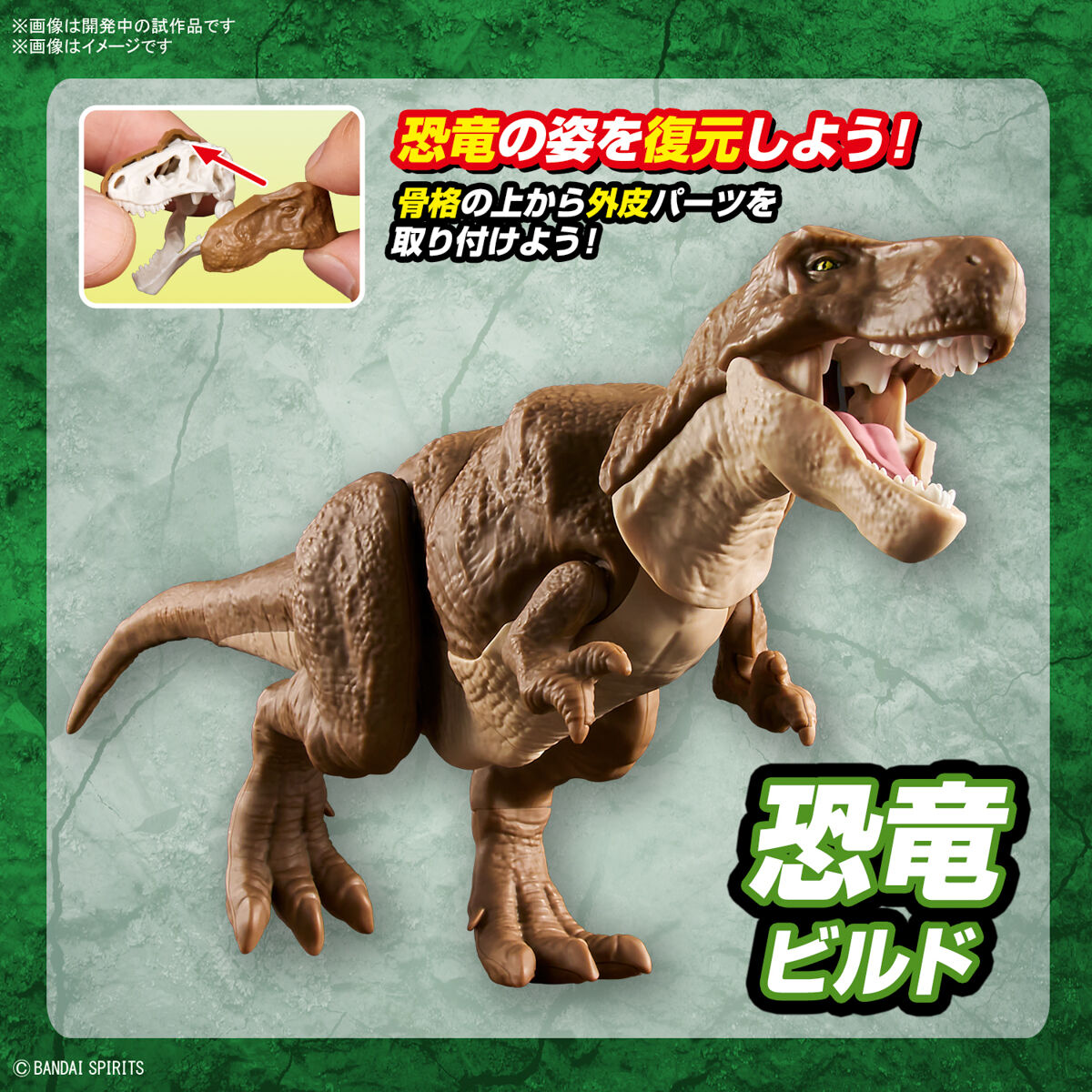 プラノサウルス ティラノサウルス 11