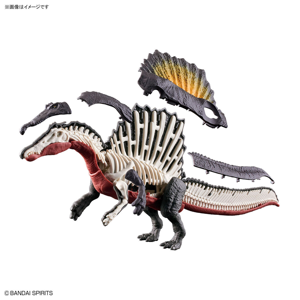 プラノサウルス スピノサウルス 11