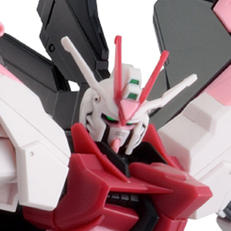HG 1/144 ガンダムパーフェクトストライクフリーダムルージュ