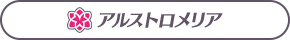 アルストロメリア
