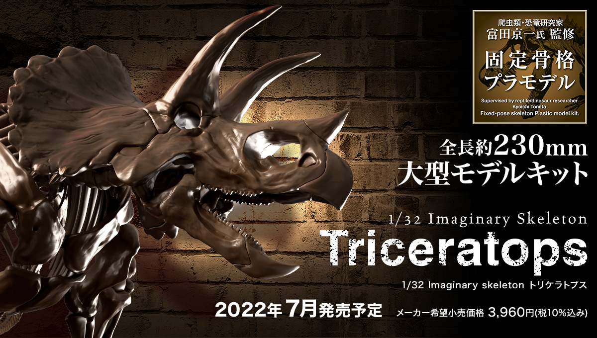 1/32 Imaginary Skelton Triceratops