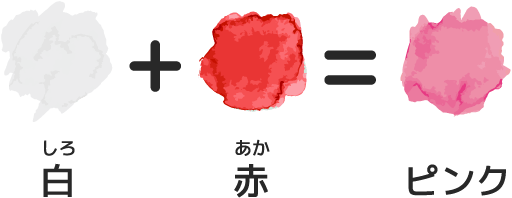 白（しろ）＋赤（あか）＝ピンク