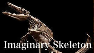 【開発ブログ更新】　よみがえる海生爬虫類「1/32 Imaginary Skeleton モササウルス」のご紹介