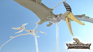 開発ブログ　 【プラノサウルス】大空の翼竜！プテラノドンのご紹介！！